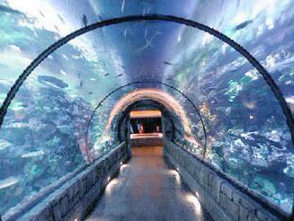 Shark Reef at Mandalay Bay Resort