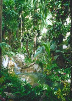 The Tropical Rain Forest at the Mirage Hotel 
