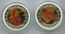 Riviera July 4th 2002 $10 Hologram Token